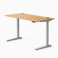 Jarvis Bamboo Standing Desk, Rectangle, Silver, 3 Stage Height